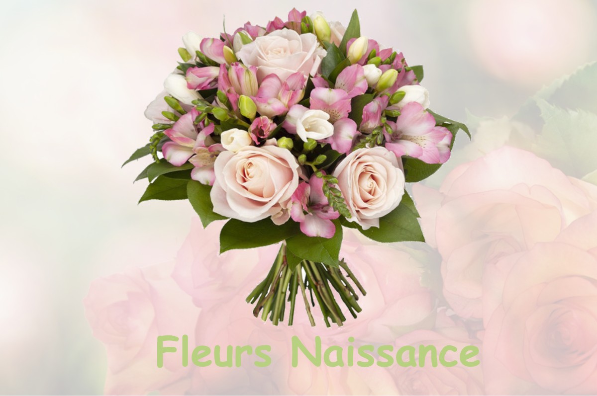 fleurs naissance CONSEGUDES