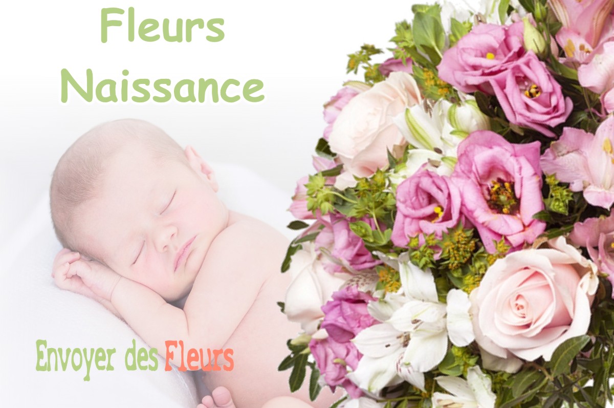 lIVRAISON FLEURS NAISSANCE à CONSEGUDES